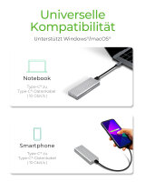 Icy Box M.2 2280/2260/2242 SSD Case USB-C 3.1 Aluminium externes M2 / USBC Gehäuse