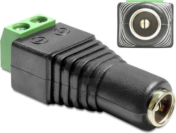DELOCK Adapter Terminalblock 2Pin -> DC 2,5 x 5,5mm Buchse