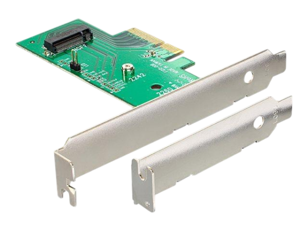 DeLOCK Riser Card M.2 auf PCIe x4 Adapter 1x M2 NGFF Slot PCIe 4.0