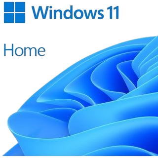 Windows 11 Home 64Bit DSP 1pk Deutsch DVD