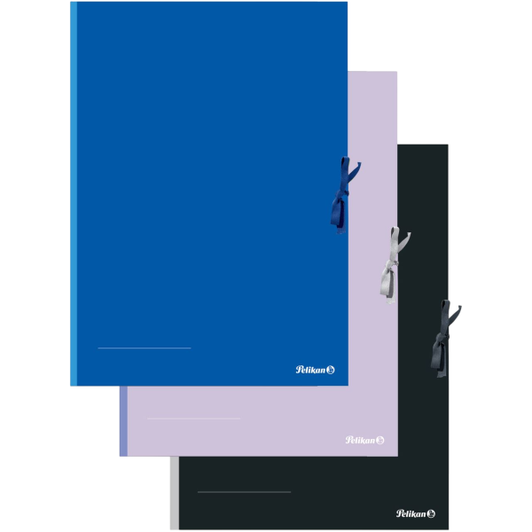 Pelikan 276870 Sammelmappe Karton farblich sortiert 3 Stück