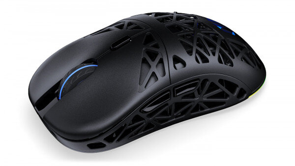 Endorfy LIV Wireless Gaming Mouse Bluetooth 12.000dpi RGB schwarz
