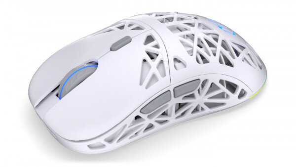 Endorfy LIV Onyx White Wireless Mouse 12000dpi RGB 6 Tasten Maus