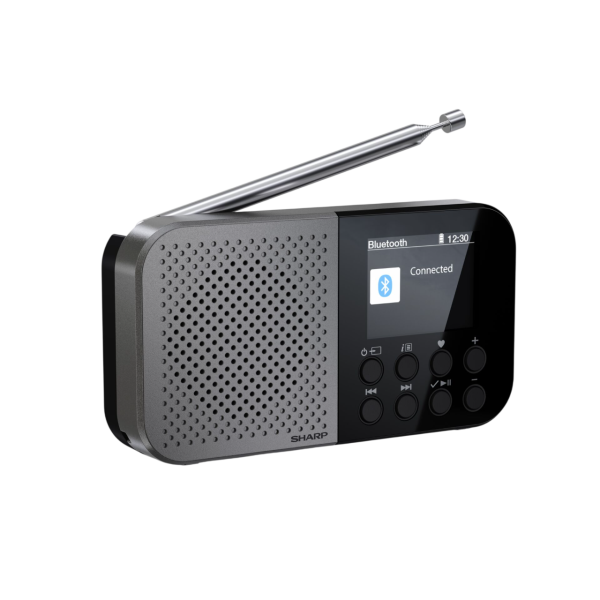 Sharp DR-P520 Osaka UKW / DAB+ Radio schwarz/grau