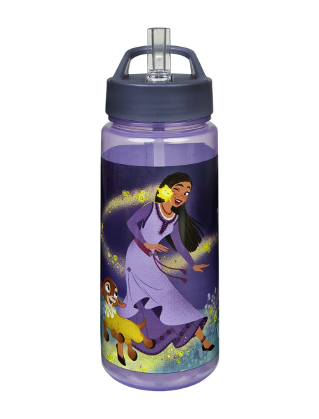 Disney Wish AERO Trinkflasche / Wasserflasche 500ml 19cm Höhe