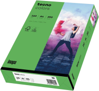 Inapa Tecno Colors Universalpapier A4 intensivgrün...
