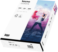 Inapa Tecno Colors Kopierpapier Universalpapier A4...