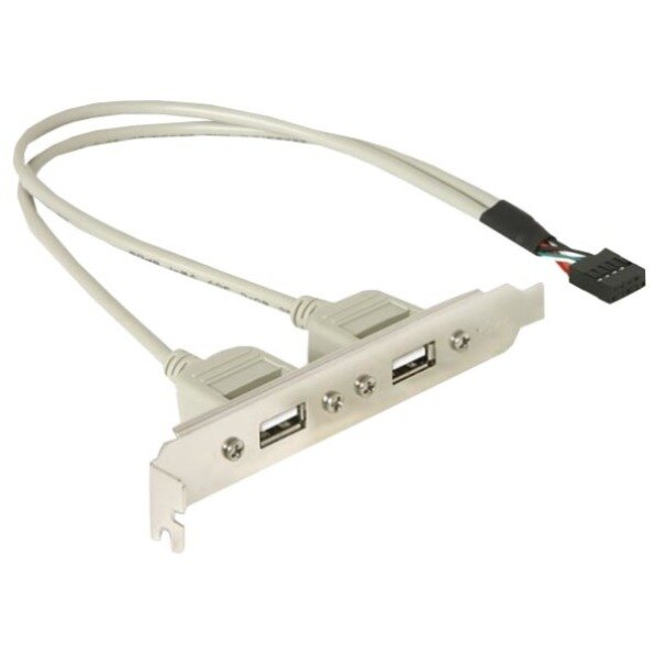 DeLock Slotblech USB-USB 2.0