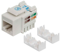 INTELLINET Keystone Jack Cat6 Punch-down UTP weiss