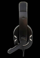 Raptor Gaming H4 Headset