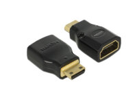 DELOCK HDMI Adapter A -> mini C Bu/St 4K...