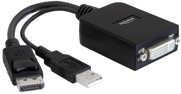 DeLock Display Port Adapter