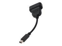 DVI-D Buchse auf mDisplayport