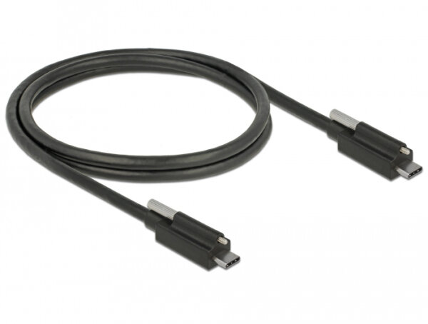 DELOCK USB-Kabel Supersp. 10Gbps C->C St/St je 1 Schr. 1m