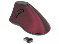 DELOCK ergon. Maus vertikal optisch 5-Tasten 2.4GHz wireless