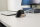 BakkerElkhuizen Maus Evoluent Standard VerticalMouse r USB retail