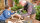 Bosch PTK 3.6LI