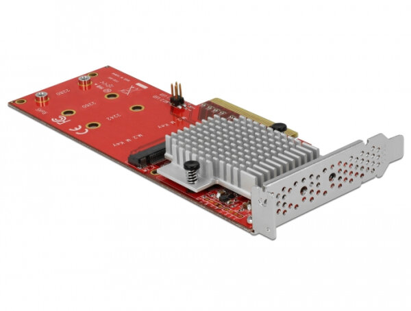 DELOCK PCI Expr x8 Karte > 2x int. NVMe M.2 Key M LowProfile