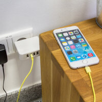 LogiLink USB Wall Charger
