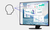 EIZO 54.1cm (21.3") S2134-BK  4:3 DVI+DP+USB IPS black Lift