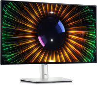 Dell 60.5cm (23,8") U2424H  16:9  HDMI+DP+USB-C IPS