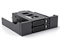 DELOCK Slim Bay Wechselrahmen 2 x2.5 U.2 NVMe SSD 5.25"