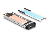 DELOCK Wechselrahmen Einschub 1 x M.2 NMVe SSD