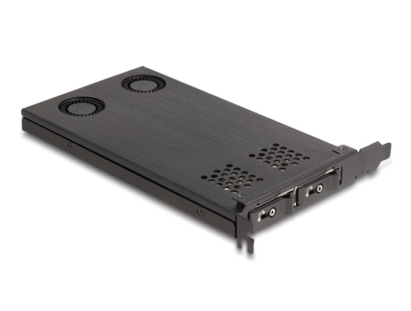 DELOCK PCI Express x16 Karte für 2x M.2 NVMe SSD-Bifurcation