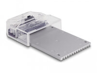 DELOCK USB Type-C Dockingstation für 1 x U.2 SSD