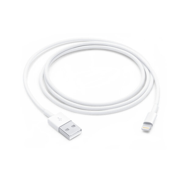 Apple USB-Kabel auf Lightning (1m)
