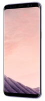 Samsung Galaxy S8 G950F grey