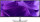 Dell 86.4cm (34,1") P3425WE 21:09 HDMI+DP+USB-C IPS Curved