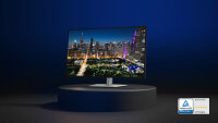 Dell 80.0cm (31,5") U3225QE 16:09 HDMI+DP+USB-C IPS