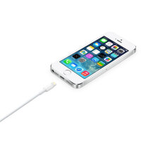 Apple Lightning/USB Adapter 2m