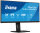 IIYAMA 86,7cm (34")   XUB3493WQSU-B6 21:9  HDMI+2xDP+2xUSB-C