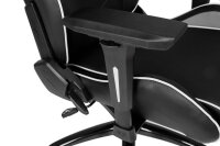 AKRACING Core LX Black White