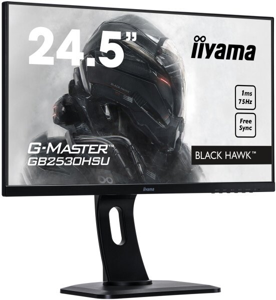 62cm(24.5")Iiyama GB2530HSU-B1