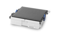 Transportband OKI C301                              44472202