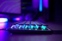 Turtle Beach Vulcan II TKL Pro - Magnetisch-mechanische RGB-Gaming-Tastatur, Analoge Halleffekt-Schalter, Medientasten, Handballenauflage, Aluminium-Abdeckplatte - DE Layout