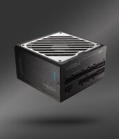 FSP MEGA -1000GM 1000W black PPA10A4501