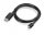 Lenovo Mini DisplayPort zu DP