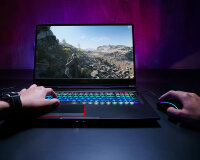 43.9cm(17.3")MSI GE75 8SE-066