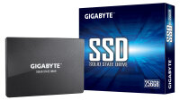 256GB Gigabyte GSTFS31256GTND