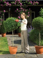 Black & Decker GSL300 rot