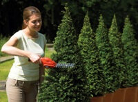 Black & Decker GSL300 rot