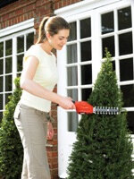 Black & Decker GSL300 rot