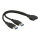 DELOCK USB3.0 Kabel Pinheader 19pin -> 2x A St/St 0.2