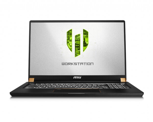 43.9cm(17.3")MSI WS75 9TK-1206