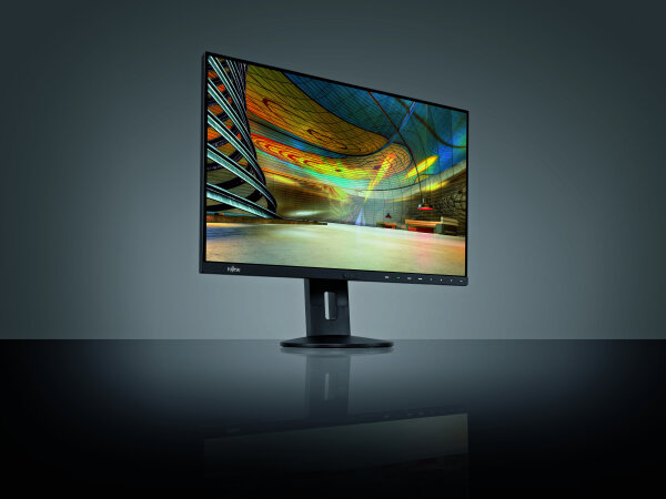 61cm(24")Fujitsu P24-8 WE Neo
