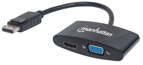 Manhattan 2in1 DP Adapter